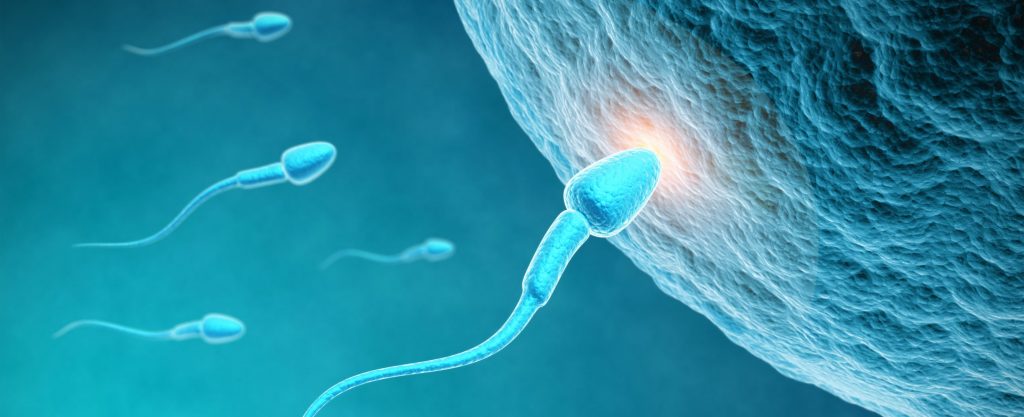 shutterstock_85786168